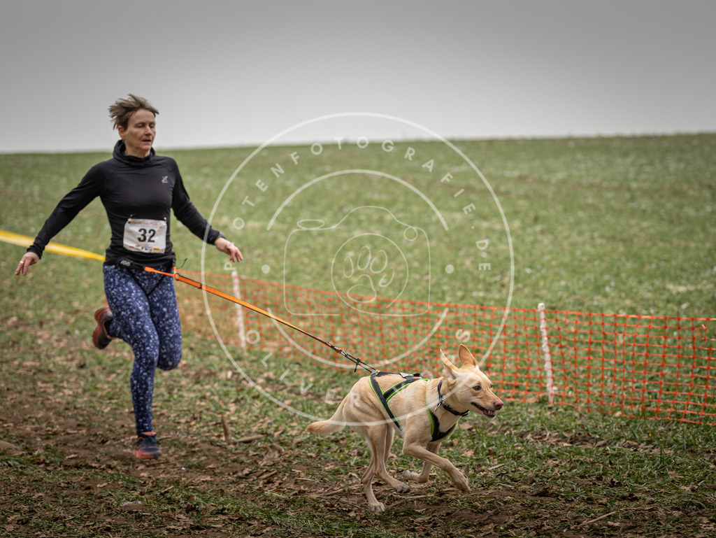Pfotenfotografie_DV3A4936 | Hundefotografie, Tierfotograf, Pfotenfotografie, Fotoshooting Hund, Hunde Portrait, Hundesport, Hundeportraits, Heideshooting, Hunde, Sportfotograf, Hundefotograf, Turnierhundsport, THS,  - Realisiert mit Pictrs.com