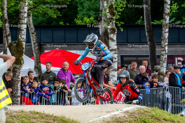 BayBMX2026-06813 | Fotogalerie von Thomas Dettweiler mit Eventbildern und lizenzfreien Fotos. Perfekt als Wandbild, für Büro, Website oder private Nutzung. - Realisiert mit Pictrs.com