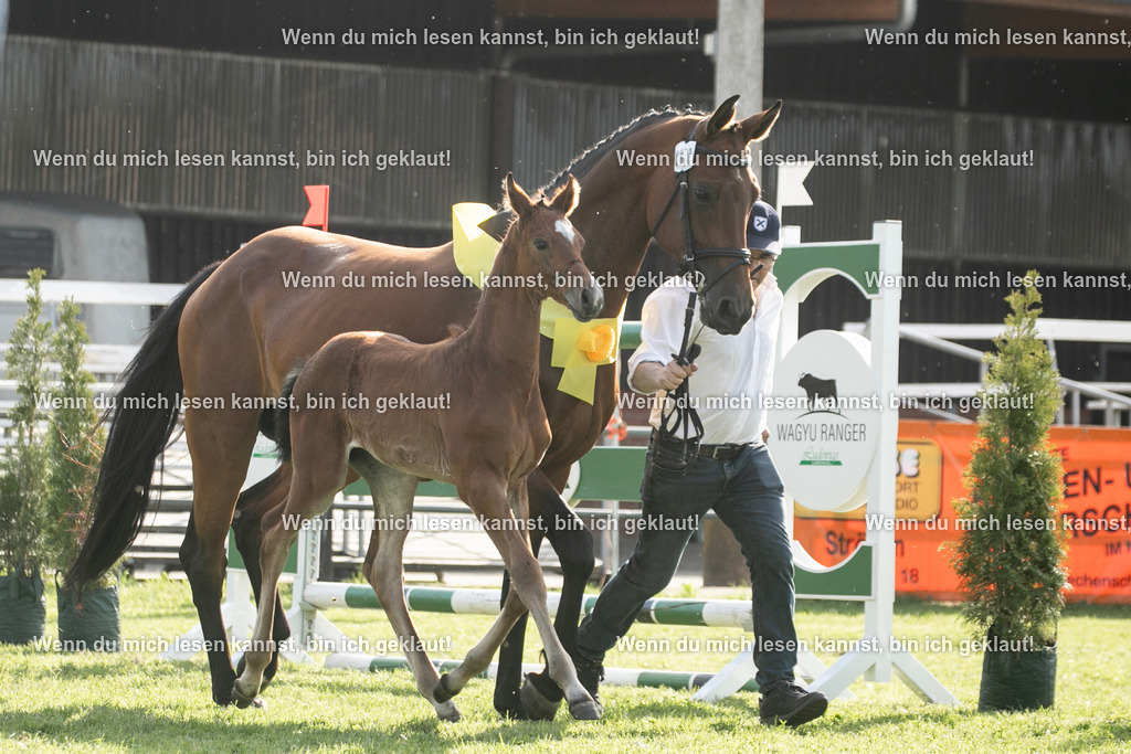 598A7149 | photographylinaismer - Realisiert mit Pictrs.com