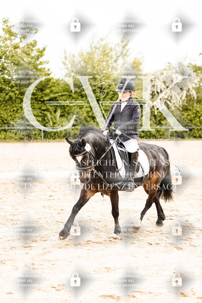 CK904236 | Turnierfotografie Pferdefotografie Trier Rheinland-Pfalz Pferdesport Reitsport Tierfotografie Sportfotografie Pferdevideo Pferdevideografie Equestrianvideography equestrianphotography  - Realisiert mit Pictrs.com