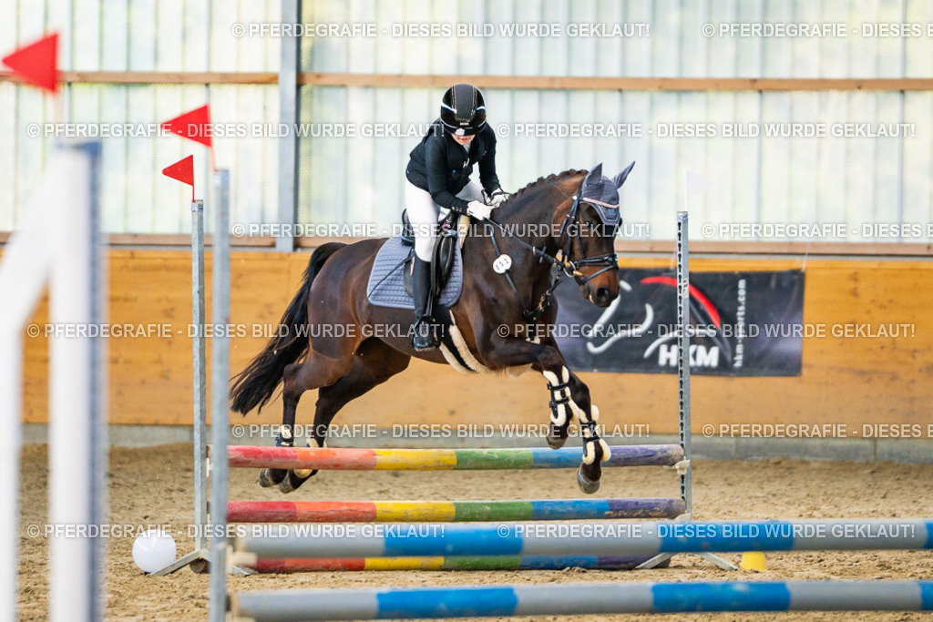 DSC00886 | Pferdegrafie