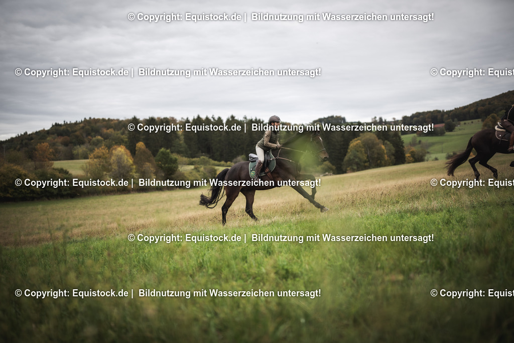 20241013_Jagd-Marbach_0306 | Foto: Thomas Hartig