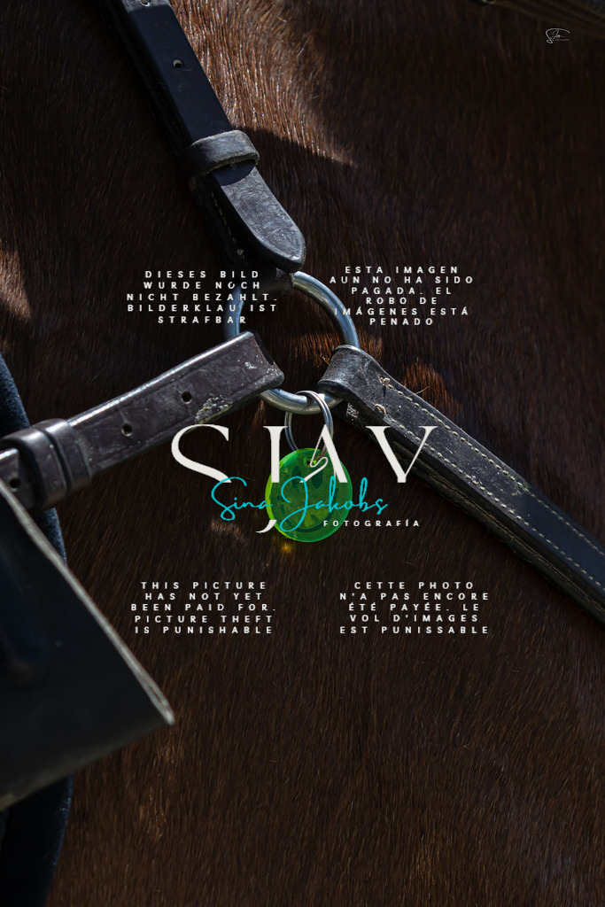 IMG_6948 | s-jay-photography - Realisiert mit Pictrs.com