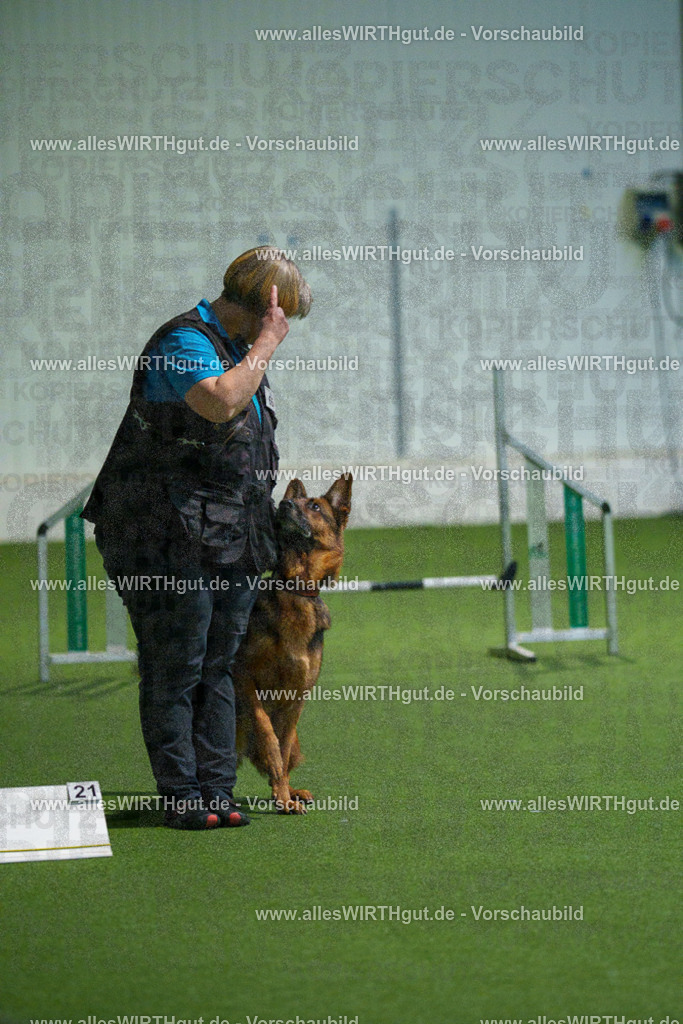 7R508015 | Professionelle Tierfotografie in Mönchengladbach von Daniel Wirth (allesWIRTHgut). Liebevolle & natürliche Bilder von Hunden & Katzen für unvergessliche Erinnerungen.