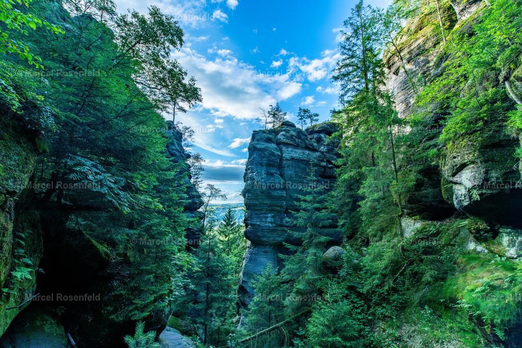 _DSC7389 | foto-rosenfeld