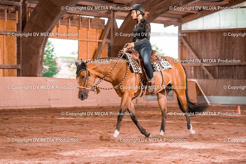 NE200409 | dv-media-shop - Realisiert mit Pictrs.com