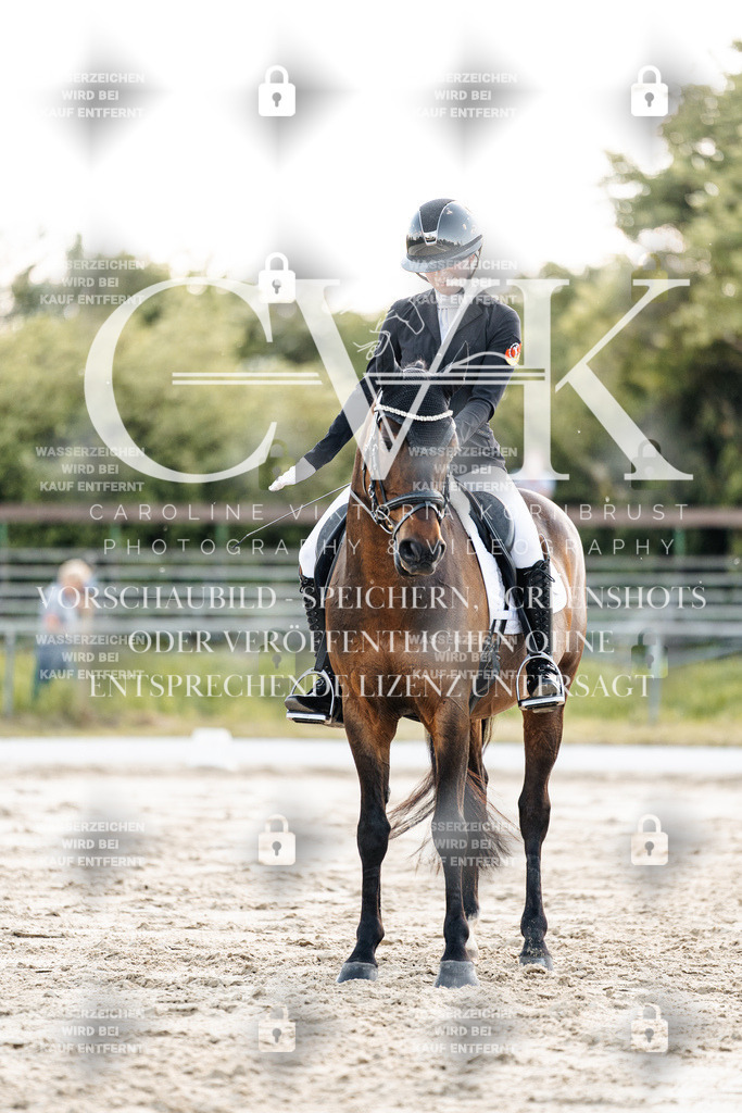 CK909603 | Turnierfotografie Pferdefotografie Trier Rheinland-Pfalz Pferdesport Reitsport Tierfotografie Sportfotografie Pferdevideo Pferdevideografie Equestrianvideography equestrianphotography  - Realisiert mit Pictrs.com