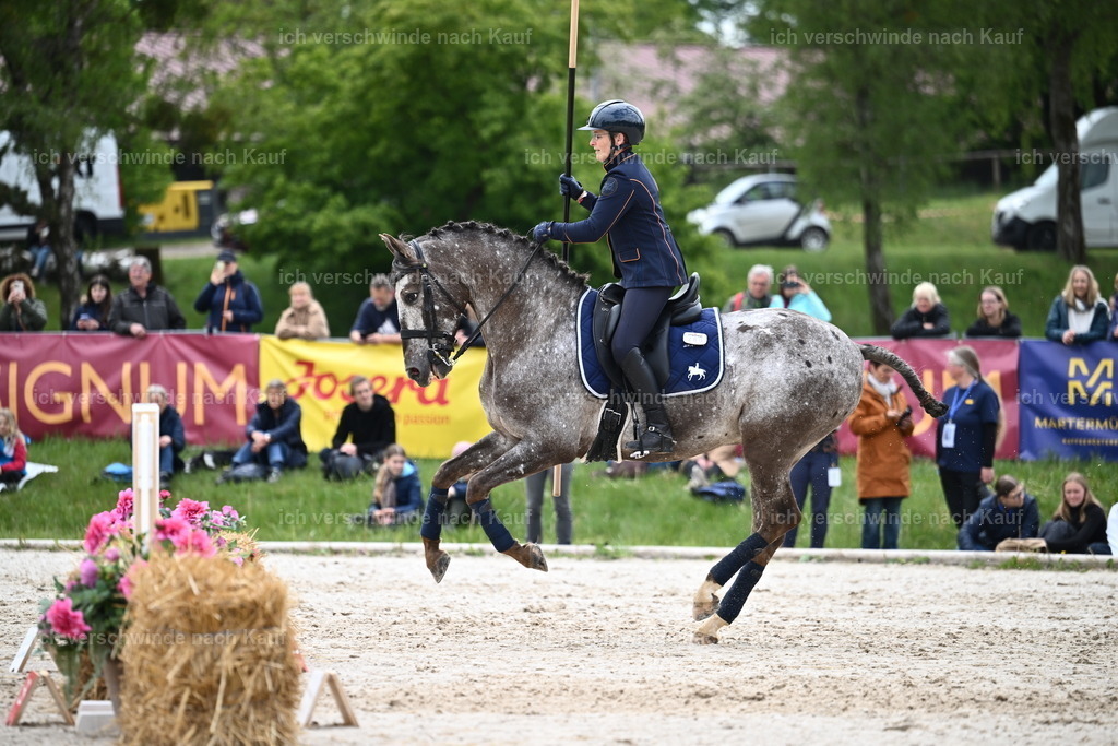 PI26_SP_Sara_Landvogt_226_5269.JPG | working equitationturnier fotograf videograf stoibphotography marixx film working equitation deutschland reitsport turnierfotografie eventfotografie equestrian events