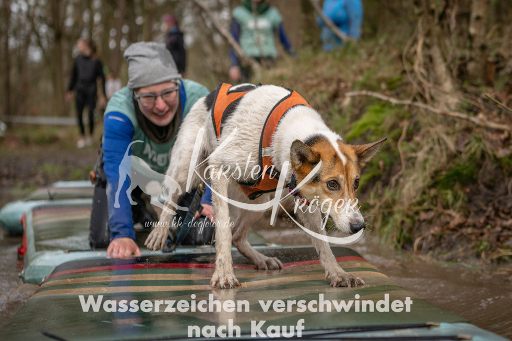 1057_ZZ95000 | kk-dogfotos