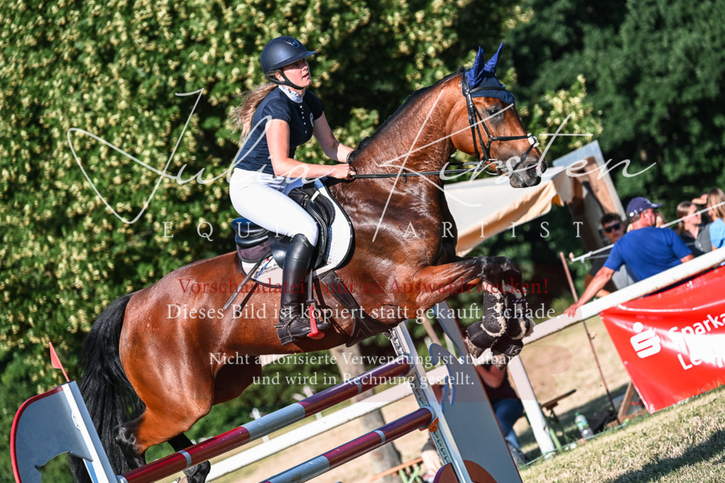 DSC_2910 | Pferde- und Turnierfotografie in Westsachsen. Pferdeportraits, Auftragszeichnungen und intuitive Kunst.
