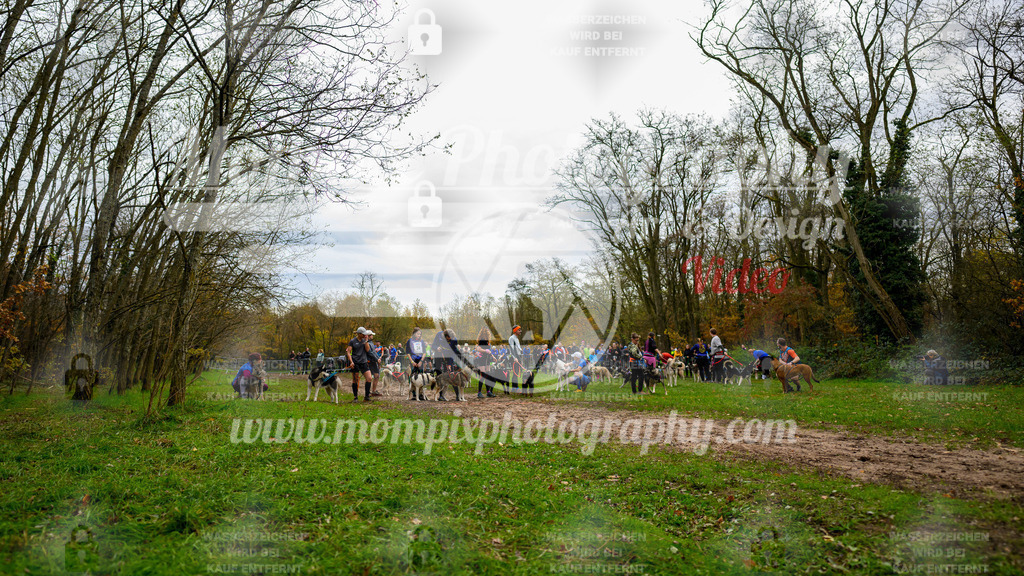 MompixPhotography_Bischwiller24_DI_CoursedeRelais-2 | PayLife