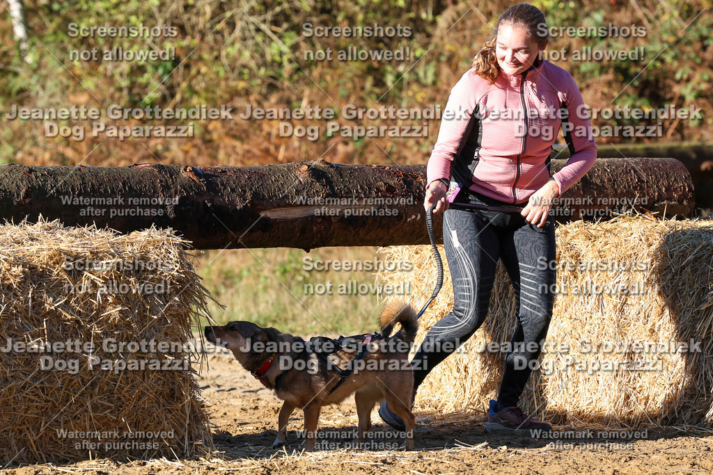 Dog Paparazzi - Strongdog 10-25-1294 | Dog Paparazzi Jeanette Grottendiek Fotografie & Videografie - Realisiert mit Pictrs.com