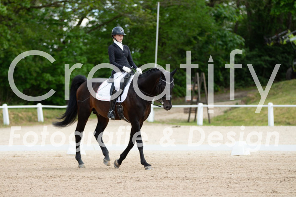 IMG_6574 | Creatify Fotografie