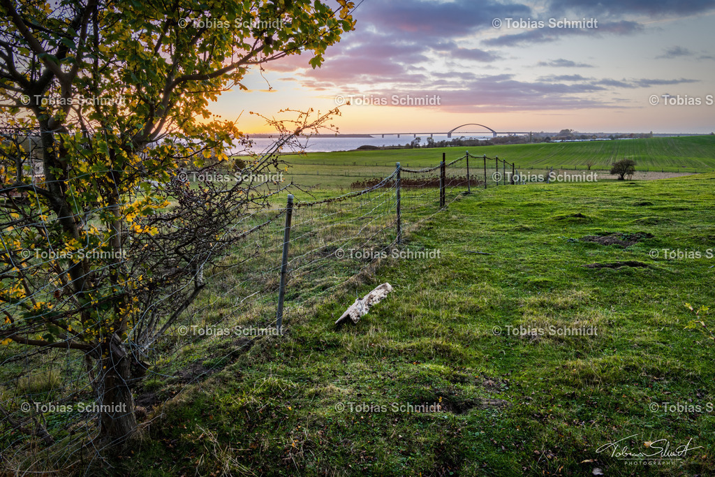 Fehmarn__DSC0800 | Fotoprodukte, Kalender und Wanddeko direkt vom Fotografen auf Fehmarn. Ob Wandbild auf Alu-Dibond, hinter Acrylglas oder auf Leinwand – hier können Sie Ihr Lieblingsbild kaufen. - Realisiert mit Pictrs.com