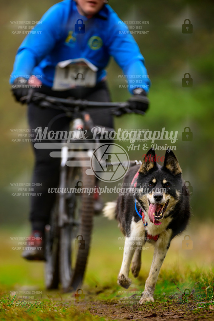 MompixPhotography_Bischwiller2025_Bike-107 | mompixphotography