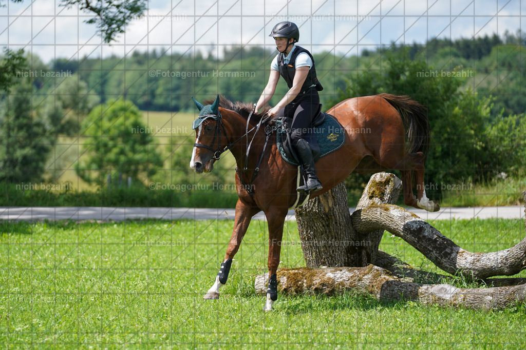 20240622-FAH07011 | Turnierfotografen Bayern, Reitsportbilder aus dem Geländekurs mit Felix Etzel auf dem Gut Waitzacker 2024