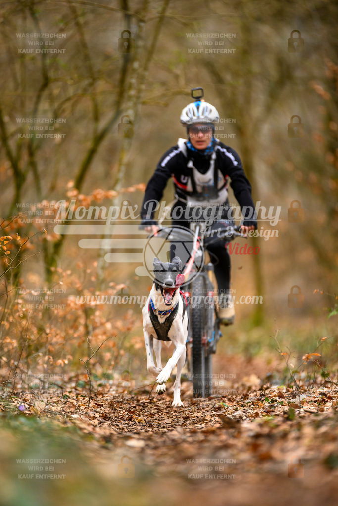MompixPhotography_ReiatRennen2024_SO_Bike1H-20 | PayLife