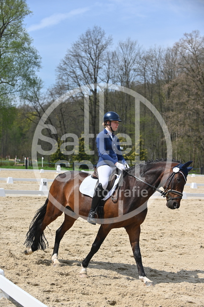 DSC_2017 | sattelsport - Realisiert mit Pictrs.com