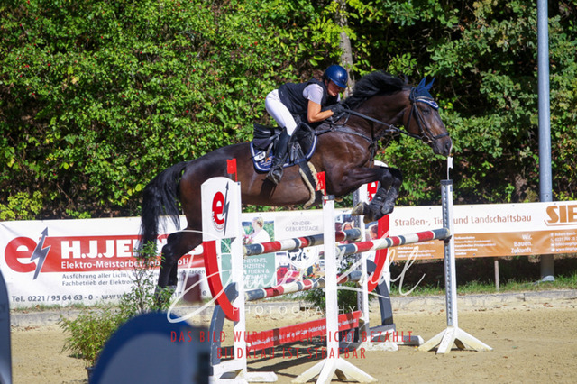 DKP43368 | Turniersportfotografie; Pferdefotografie; Dressurfotografie