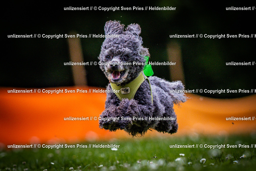 Sven Pries | 2025-05-29 - Pudelrennen KA-Durlach - Realisiert mit Pictrs.com