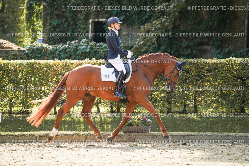 DSC07420 | Pferdegrafie