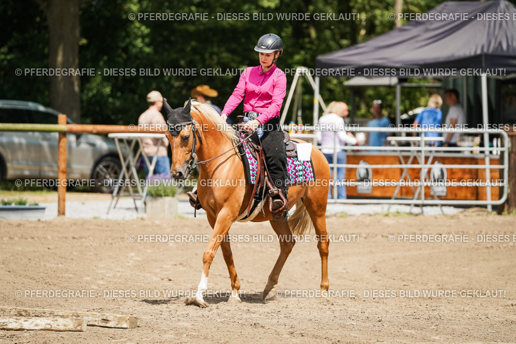 DSC08045 | Pferdegrafie