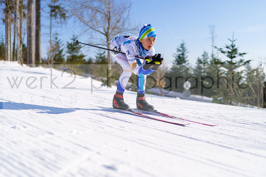 DSC Arber | Bayerischer Wald am 9. bis 12. Februar 2023
