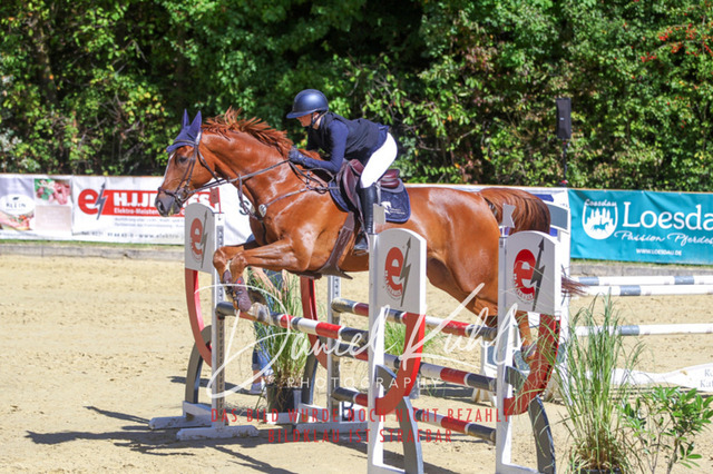 DKP43215 | Deine Turnierfotos vom Reitturnier online kaufen: Dressur, Springen & Siegerehrung. Professionelle Pferdefotografie aus dem Rheinland – als Download & Print.Alternative: Turnierfotograf für den Pferdesport: Finde deine Fotos von Dressur- und Springturnier