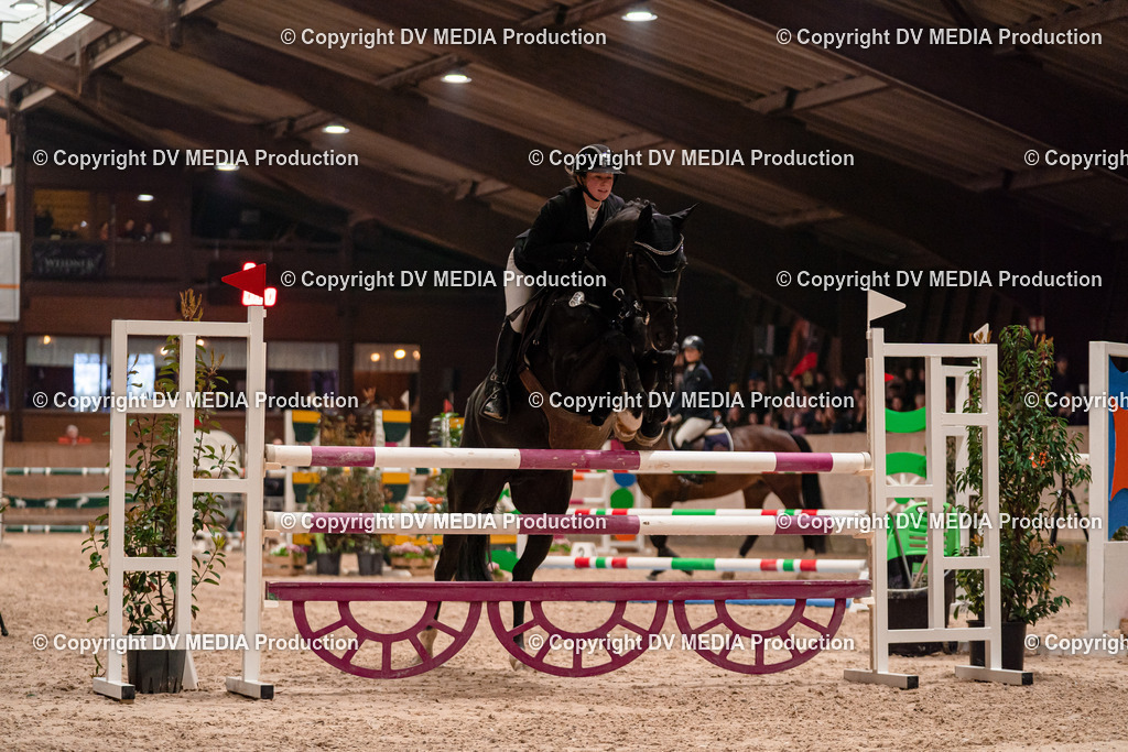 Springen Tag 2-796 | dv-media-shop - Realisiert mit Pictrs.com