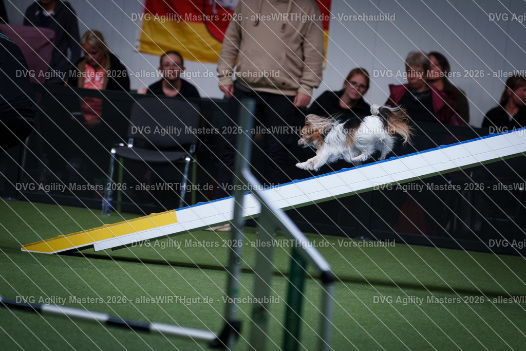 allesWIRTHgut_Tierfotografie-DVG_Agility_Masters_2026-13_46-7R503937 | Professionelle Tierfotografie in Mönchengladbach von Daniel Wirth (allesWIRTHgut). Liebevolle & natürliche Bilder von Hunden & Katzen für unvergessliche Erinnerungen.