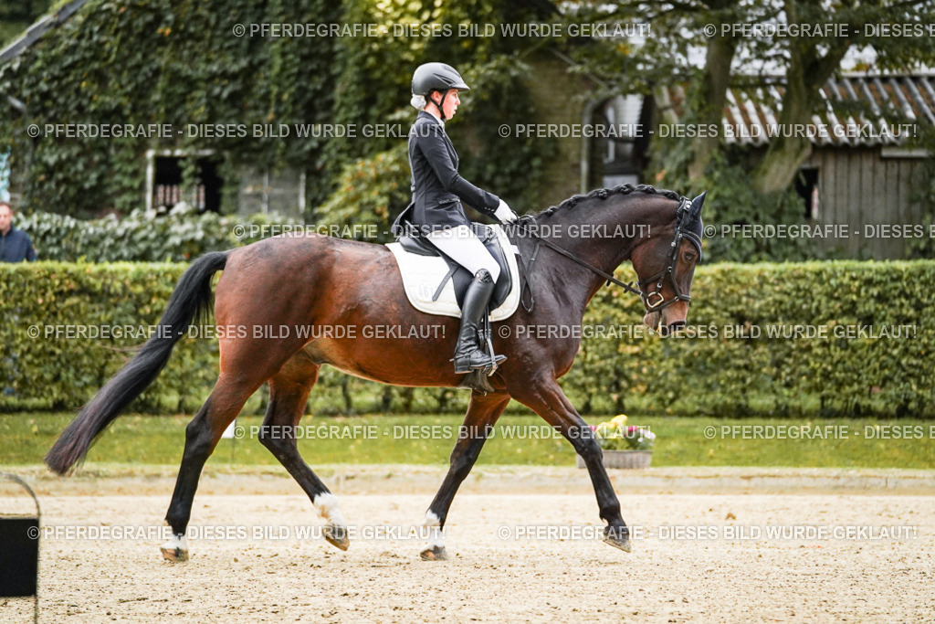 DSC06484 | Pferdegrafie