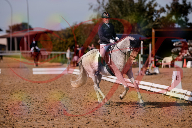 2026_10_03_Siefer-Hof_123143_Z81_30525193 | Professionelle Reitsport-, Turnier- und Eventfotografie von Robert Broda. Galerien mit ausgewählten und bearbeiteten Bildern direkt online ansehen und bestellen.