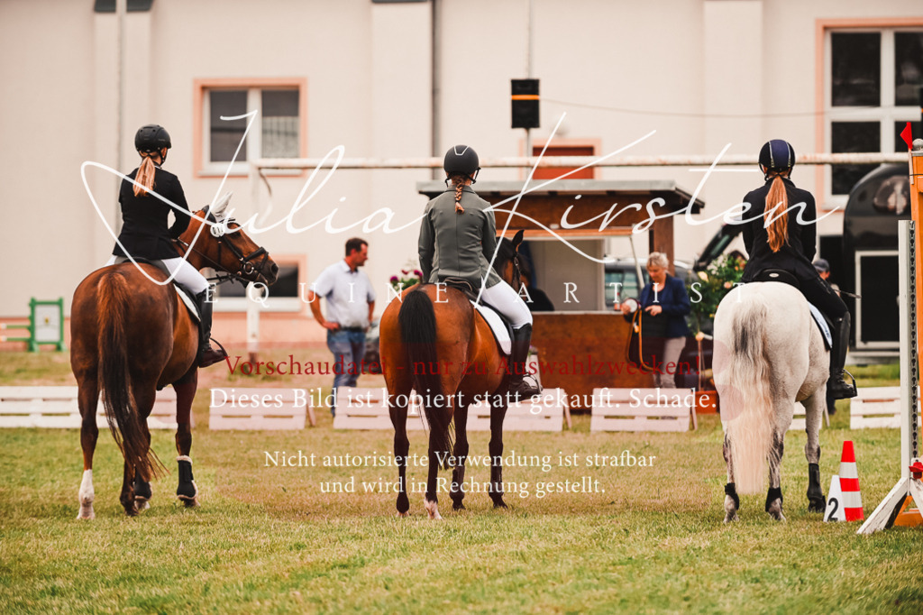 DSC_6989 | Pferde- und Turnierfotografie in Westsachsen. Pferdeportraits, Auftragszeichnungen und intuitive Kunst.