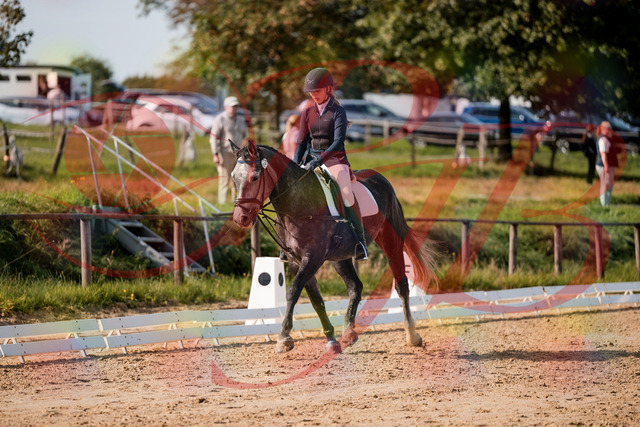 2026_10_03_Siefer-Hof_120142_Z63_34315687 | Professionelle Reitsport-, Turnier- und Eventfotografie von Robert Broda. Galerien mit ausgewählten und bearbeiteten Bildern direkt online ansehen und bestellen.