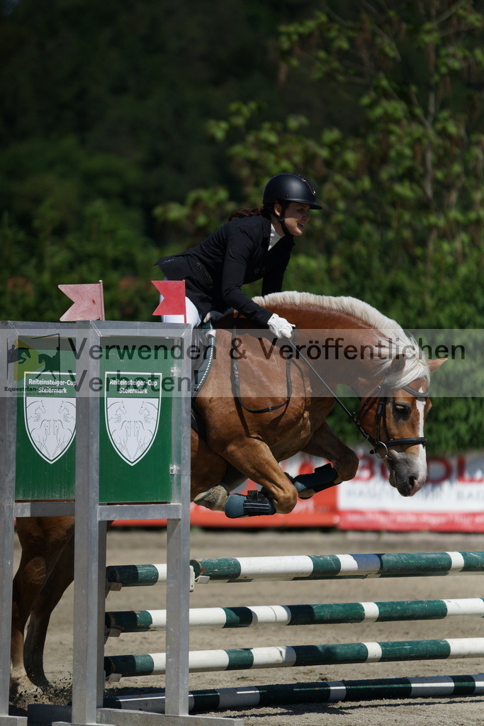 DSC06247 | equestrian-live-com