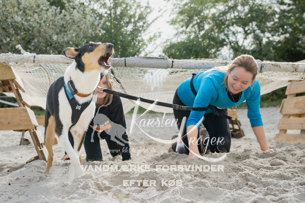 1309_ZZ95449 | kk-dogfotos