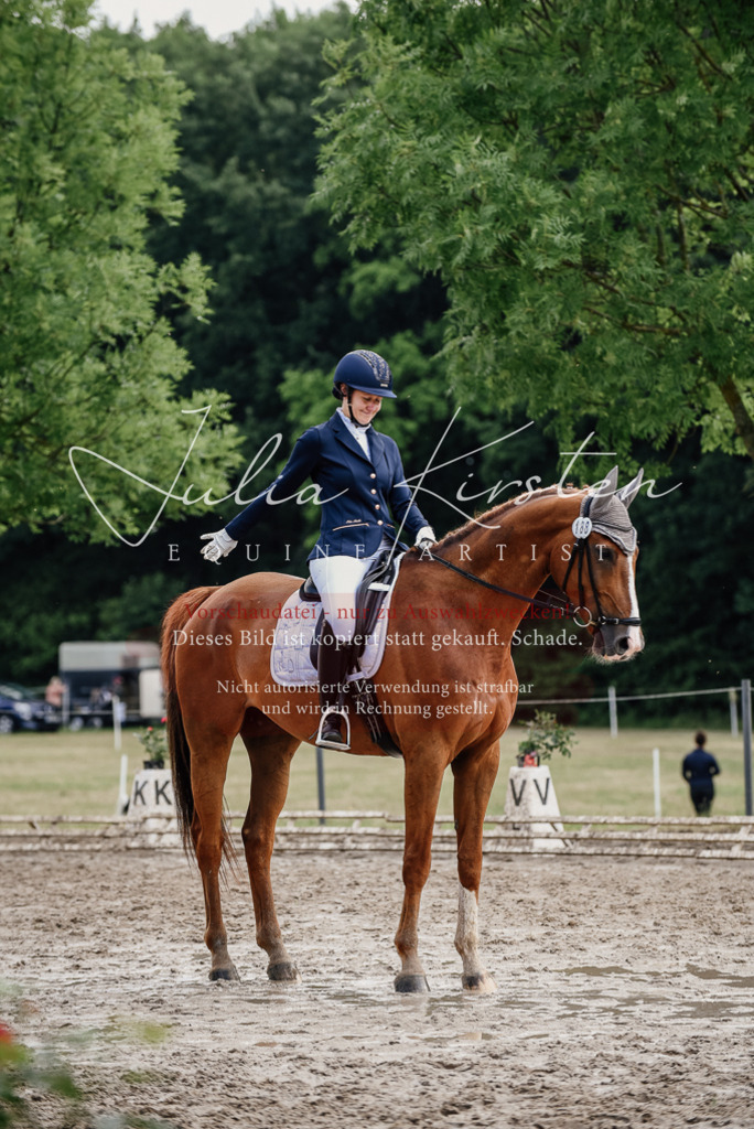 DSC_9887 | Pferde- und Turnierfotografie in Westsachsen. Pferdeportraits, Auftragszeichnungen und intuitive Kunst.