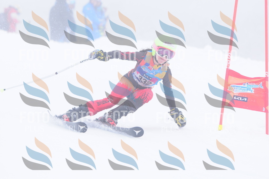 C3556 | holidayphoto