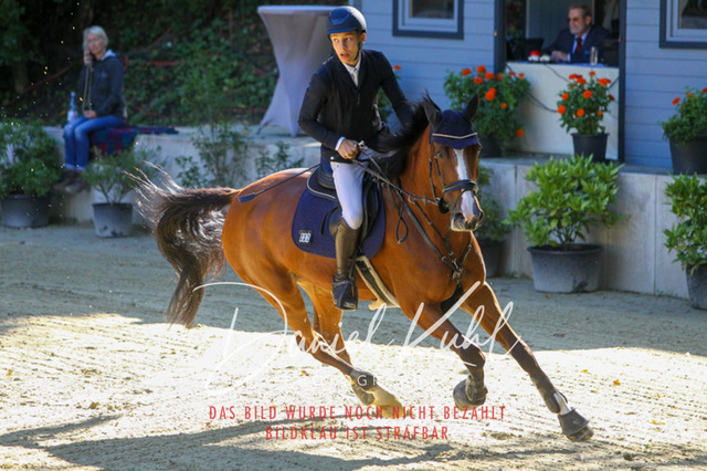 DKP42902 | Turniersportfotografie; Pferdefotografie; Dressurfotografie