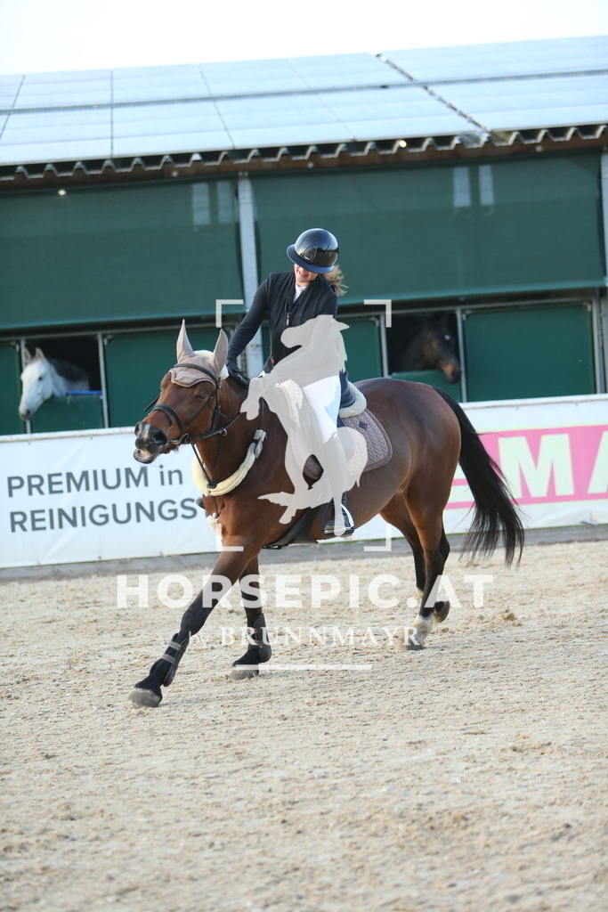 DL2Q4778 | Willkommen bei Brunnmayr - Design & Fotografie – Ihrem Spezialisten für Reitturniere und Pferdeveranstaltungen in Oberösterreich, Salzburg und Bayern! Seit über 17 Jahren sind wir leidenschaftlich dabei.