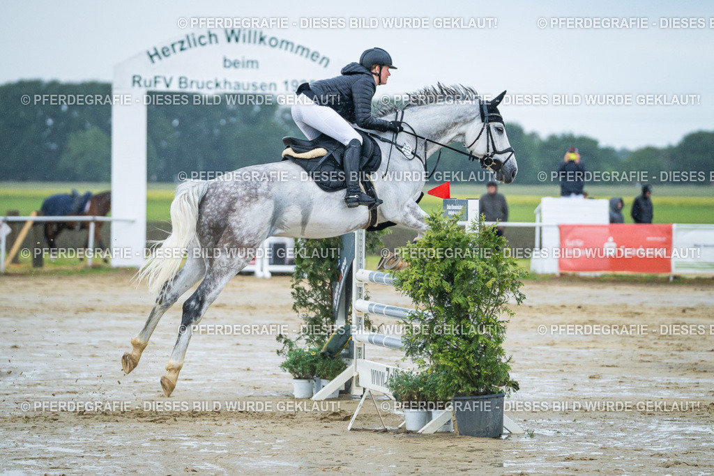 DSC04162 | Pferdegrafie