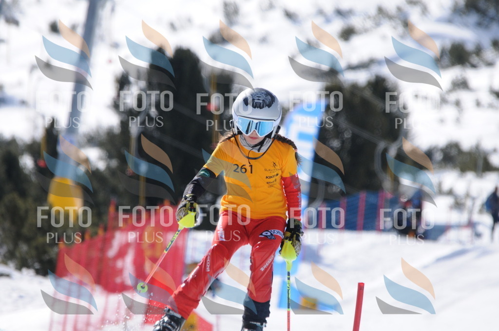 C8911 | holidayphoto