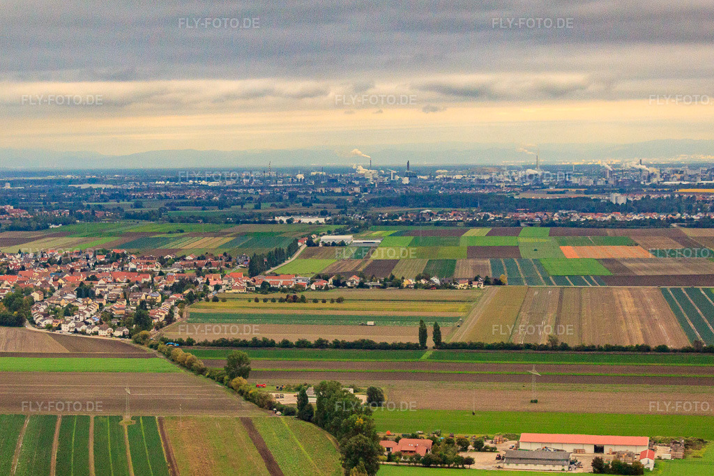 Luftbild: Weingartenstr im Ortsteil Eppstein in Frankenthal im Bundesland Rheinland-Pfalz in Deutschland. Foto: IMG_34211.jpg vom 02.10.2010 durch Werner Riehm/FLY-FOTO.de