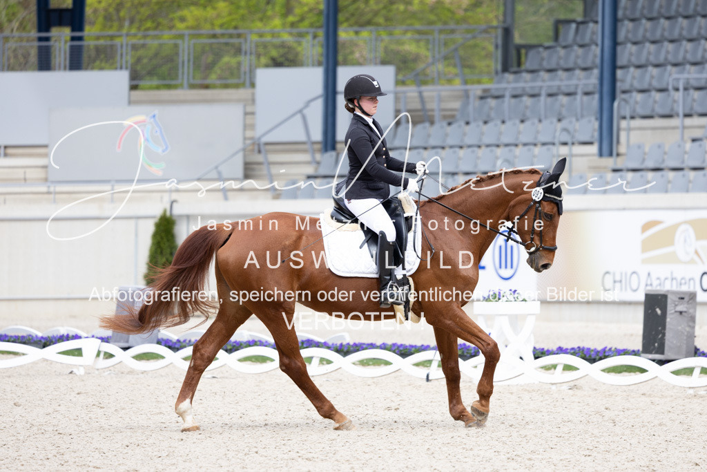 126A6462 | jasminmetznerfotografie