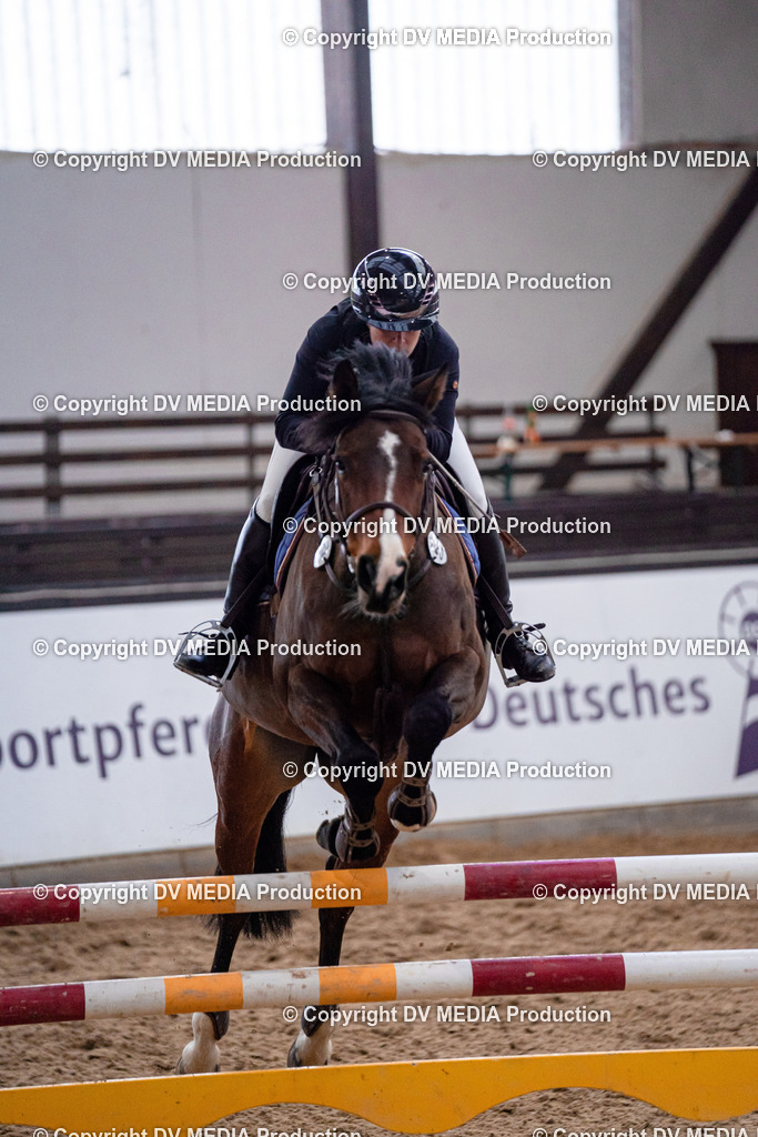 Kranichstein Tag 3-709 | dv-media-shop - Realisiert mit Pictrs.com