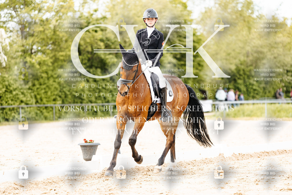 CK900880 | Turnierfotografie Pferdefotografie Trier Rheinland-Pfalz Pferdesport Reitsport Tierfotografie Sportfotografie Pferdevideo Pferdevideografie Equestrianvideography equestrianphotography  - Realisiert mit Pictrs.com