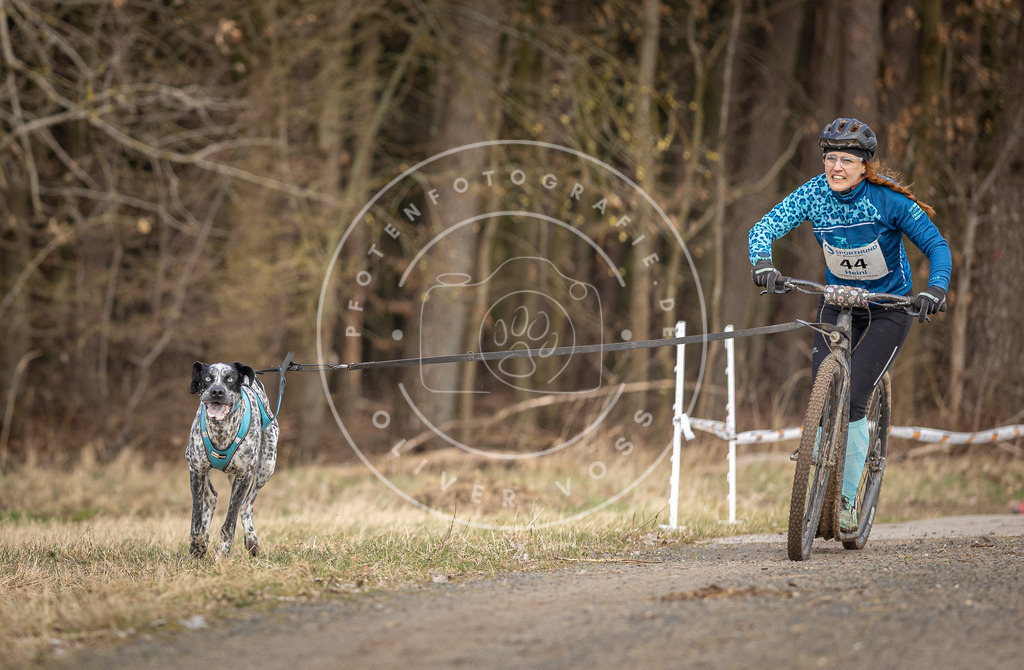 DV3A4643 | Hundefotografie, Tierfotograf, Pfotenfotografie, Fotoshooting Hund, Hunde Portrait, Hundesport, Hundeportraits, Heideshooting, Hunde, Sportfotograf, Hundefotograf, Turnierhundsport, THS,  - Realisiert mit Pictrs.com