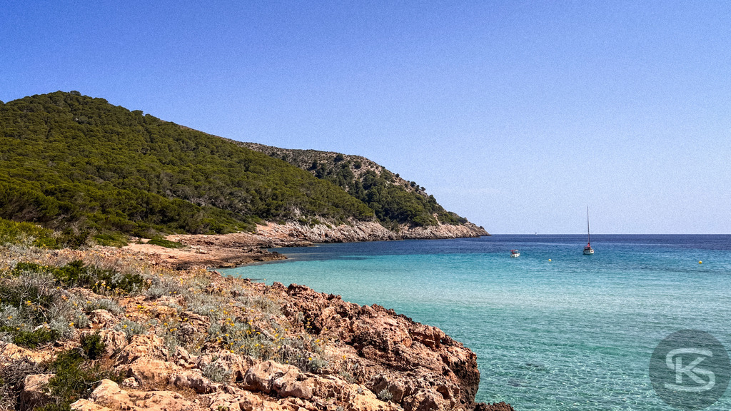 Türkisfarbene Bucht und wilde Küste bei Cala Agulla, Mallorca – Exklusives Wandbild | Blick von einer felsigen Küste auf das kristallklare, türkisfarbene Mittelmeer bei der Cala Agulla auf Mallorca mit bewaldeten Hügeln und einem Segelboot in der Ferne. - Realisiert mit Pictrs.com