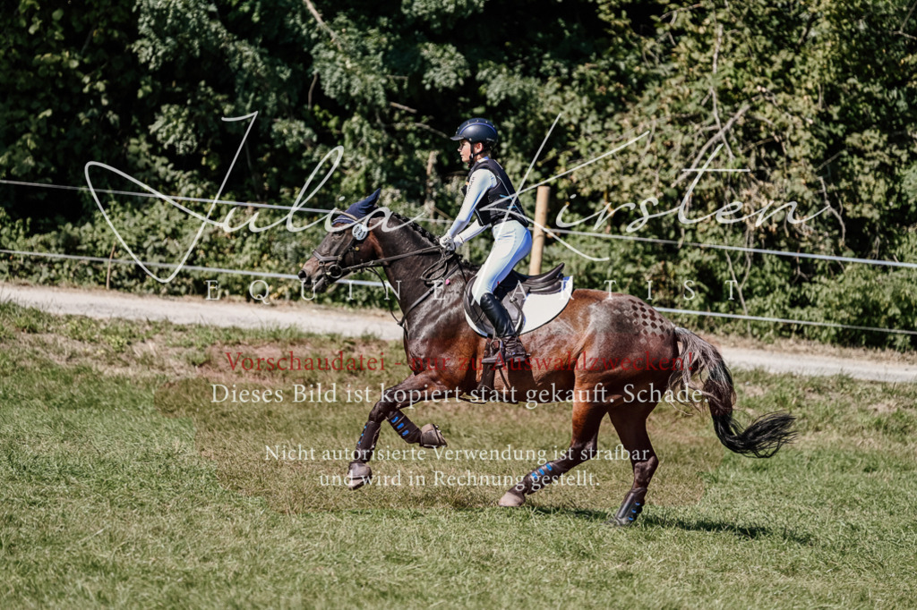 DSC_2802 | Pferde- und Turnierfotografie in Westsachsen. Pferdeportraits, Auftragszeichnungen und intuitive Kunst.