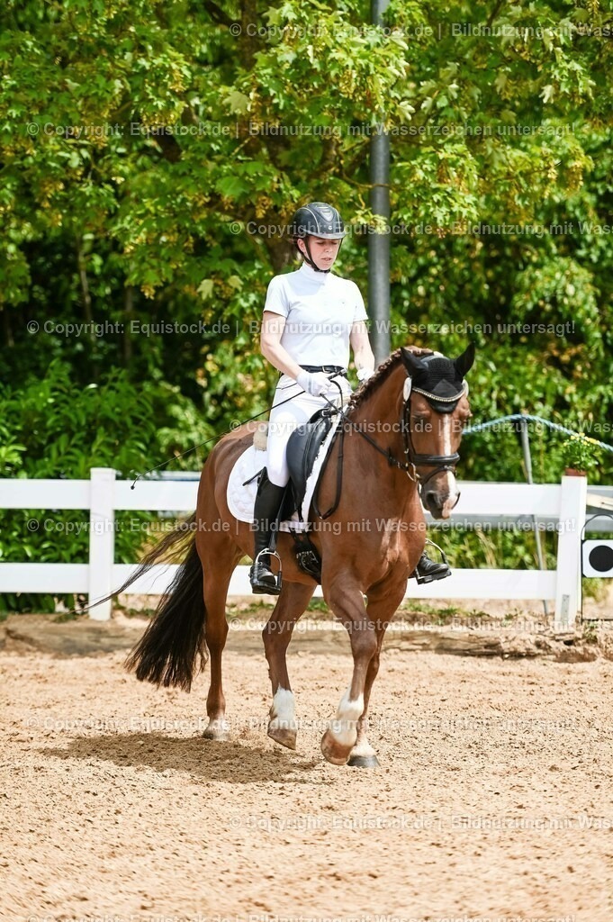 20230715_05_Dressurprüfung Kl.A++_0203 | equistock